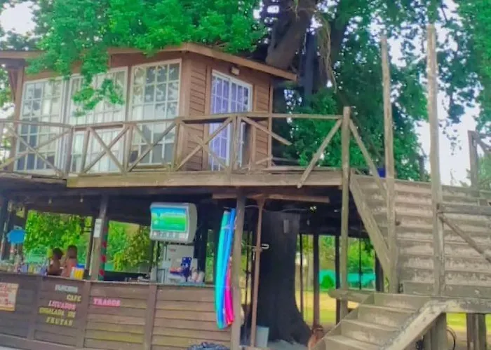 La Casa Del Arbol Pilar