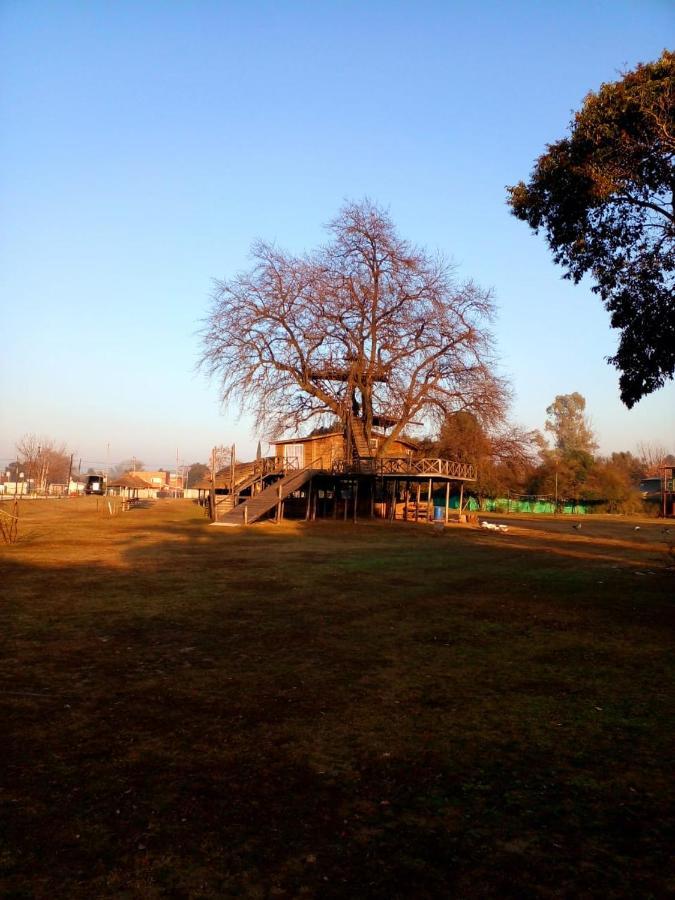 La Casa Del Arbol Pilar Pilar (Buenos Aires)